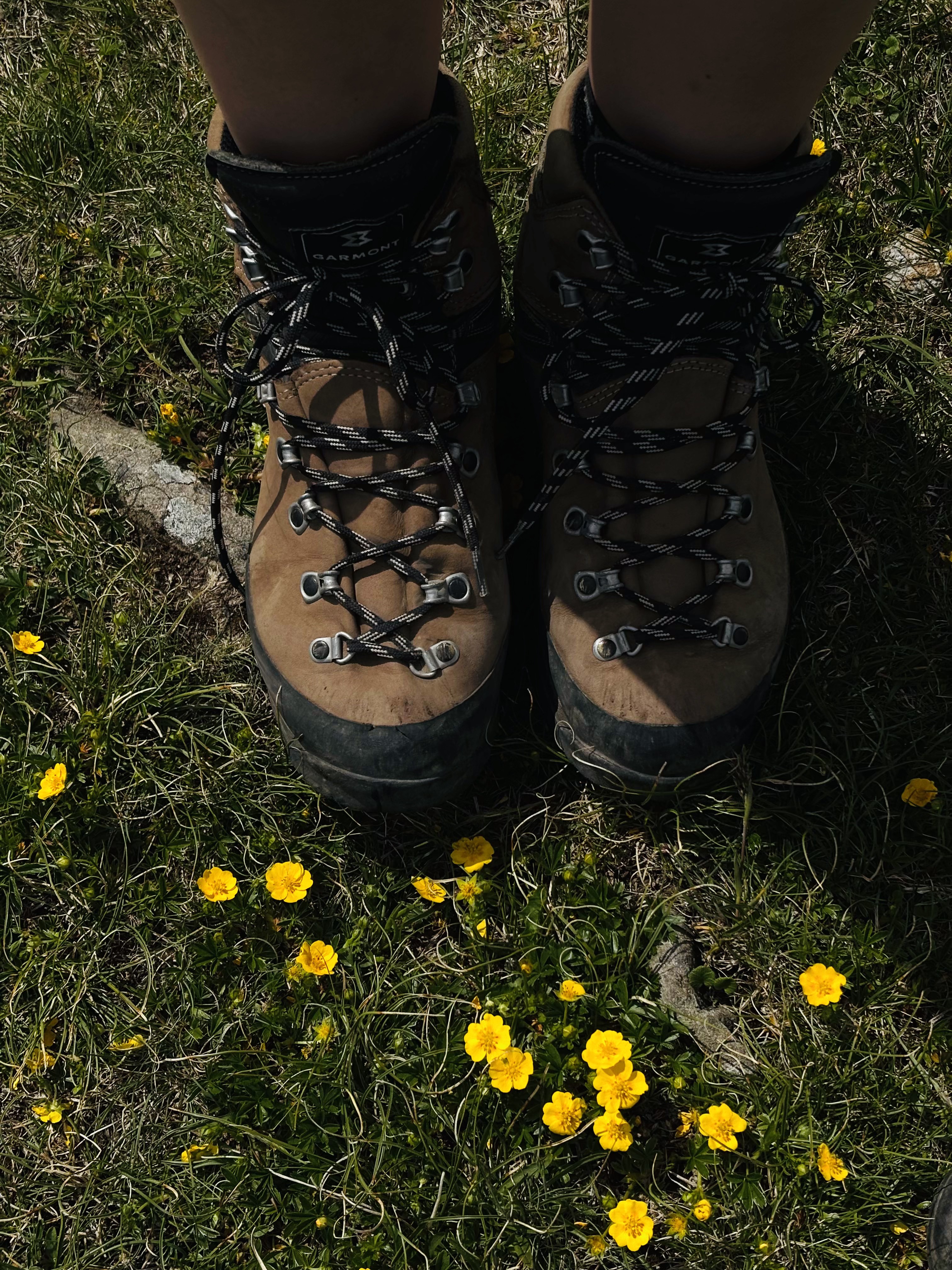 Wanderschuhe auf Almwiese mit Butterblumen